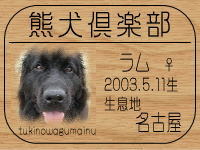 �����p�p�����HP��GO!